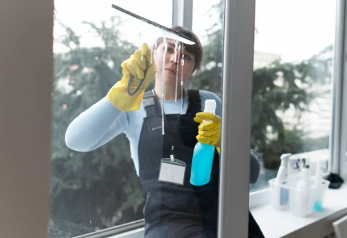 Nettoyage de vitres intérieures et extérieures à Bellegarde-en-Forez